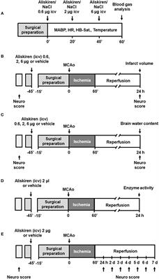 Central Application of Aliskiren, a Renin Inhibitor, Improves Outcome After Experimental Stroke Independent of Its Blood Pressure Lowering Effect